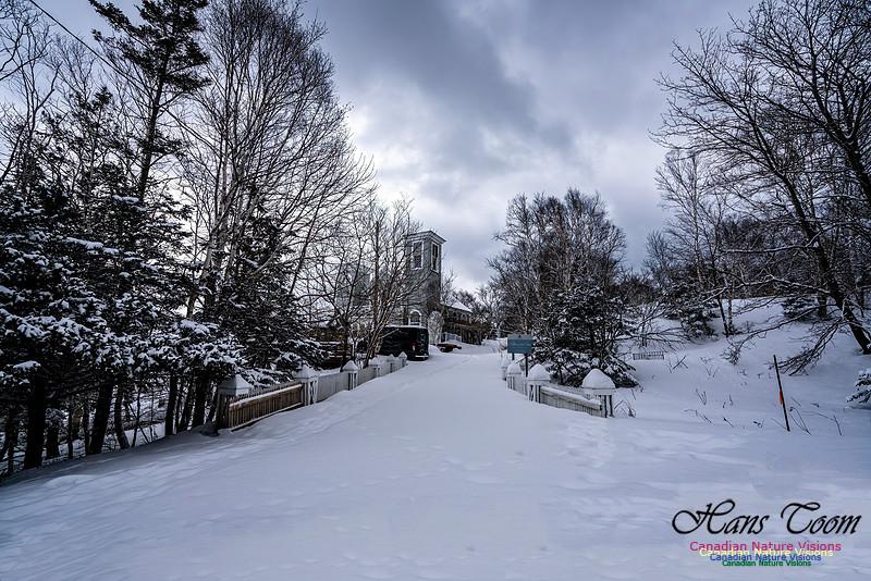 Some Winter Scenes 140