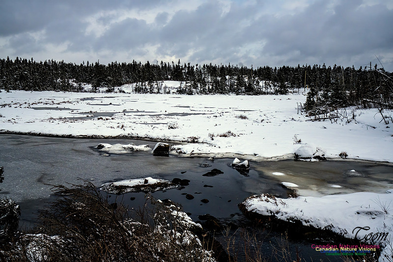 Some Winter Scenes 145