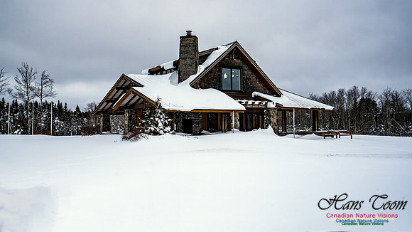 Some Winter Scenes 124