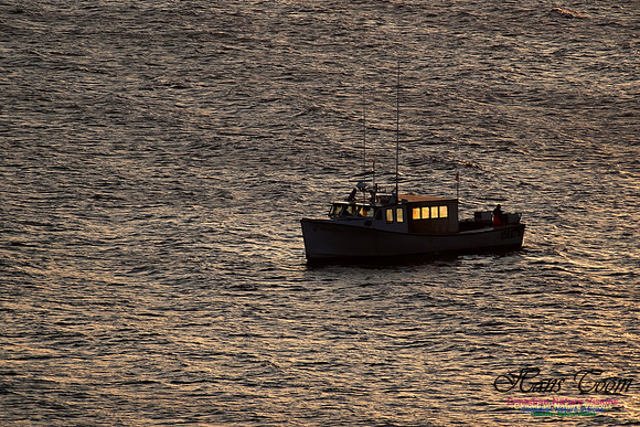 Long Lining at Chebucto Head