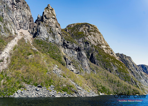 Western Brook Pond 151(the tin man)