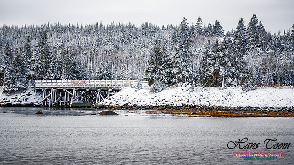 December Snow Scenes in Nova Scotia 100