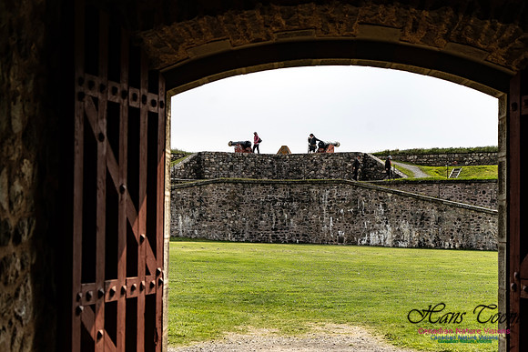 Fortress of Louisbourg 138