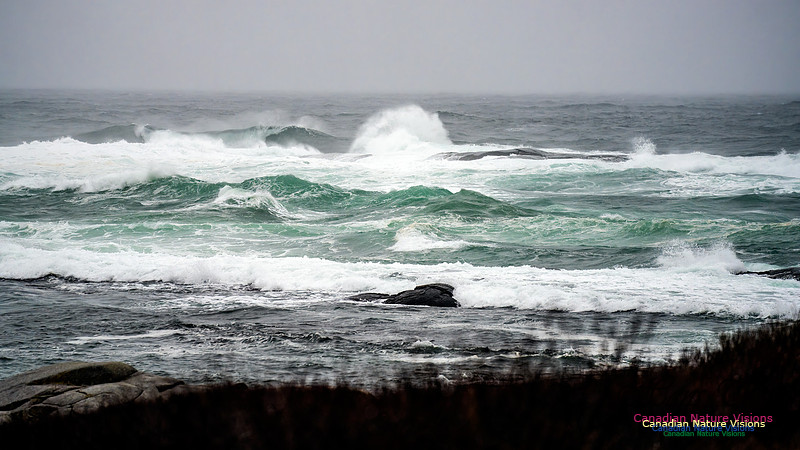 Angry Sea 388