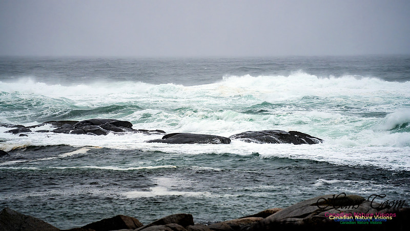 Angry Sea 386