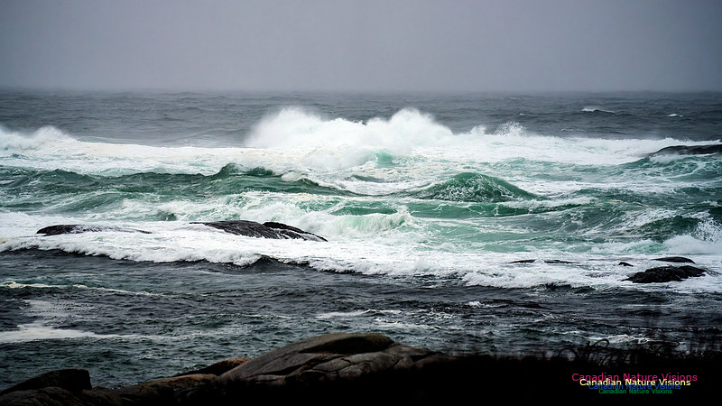 Angry Sea 387