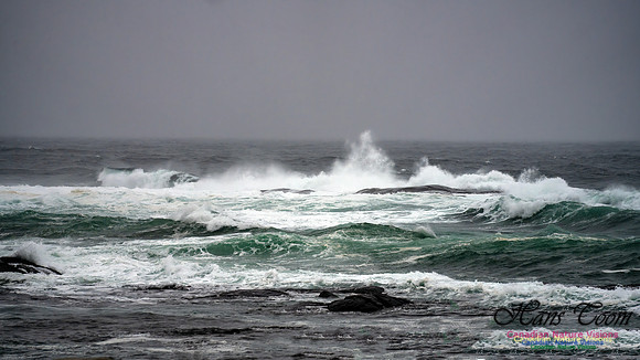 Angry Sea 350