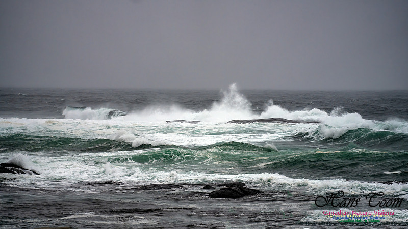Angry Sea 350