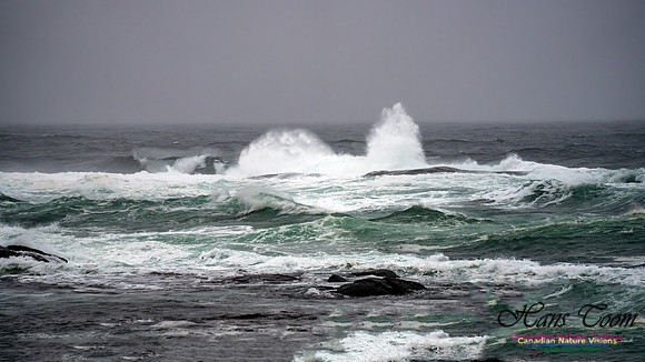 Angry Sea 351