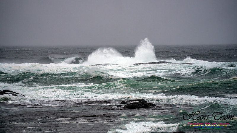 Angry Sea 351