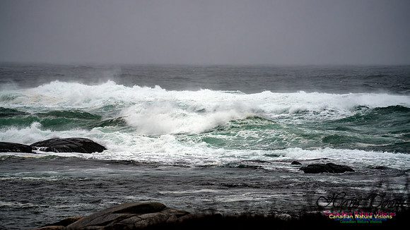 Angry Sea 352