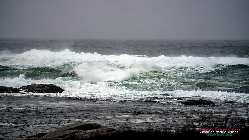 Angry Sea 352