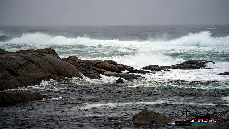 Angry Sea 354