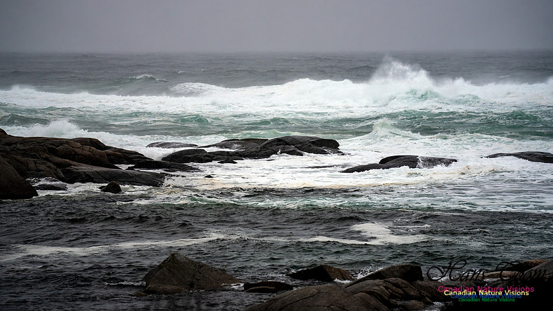 Angry Sea 353