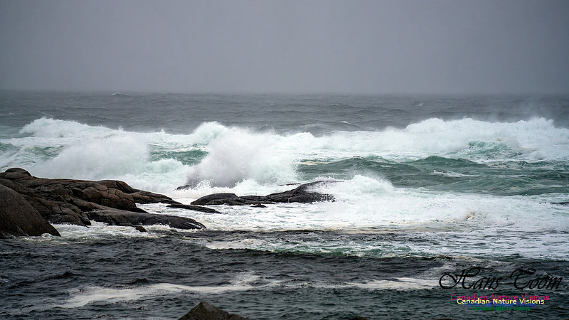 Angry Sea 355