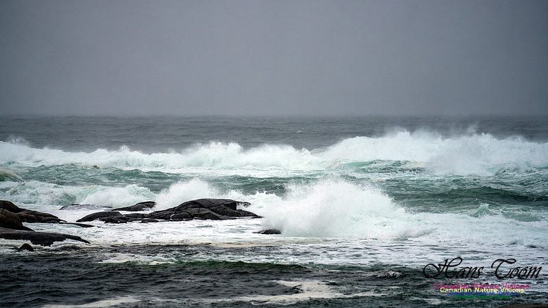 Angry Sea 356