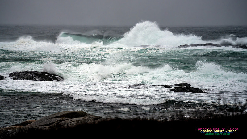 Angry Sea 359