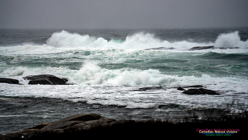 Angry Sea 358