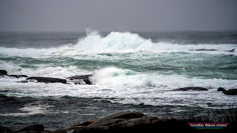 Angry Sea 357