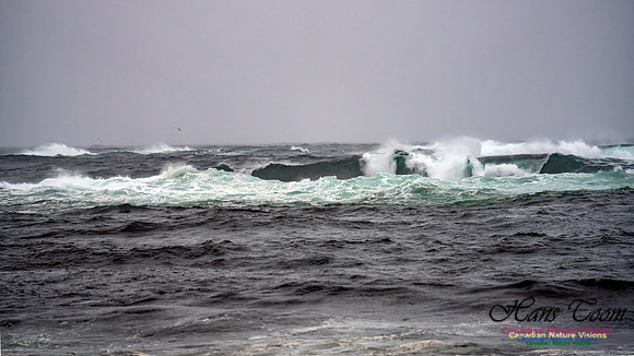 Angry Sea 361