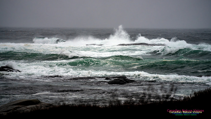 Angry Sea 362