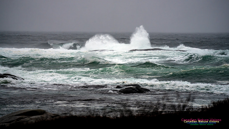 Angry Sea 363