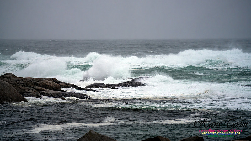 Angry Sea 366