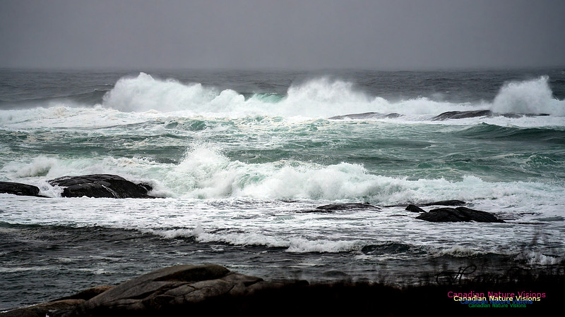 Angry Sea 368