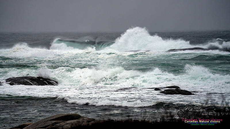 Angry Sea 369