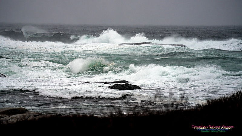 Angry Sea 370