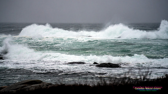Angry Sea 371