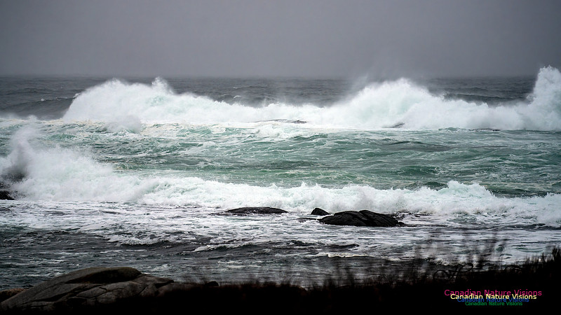 Angry Sea 371