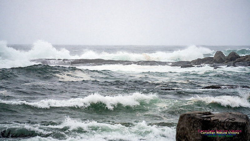 Angry Sea 373