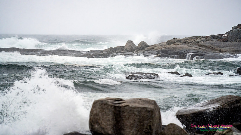 Angry Sea 375