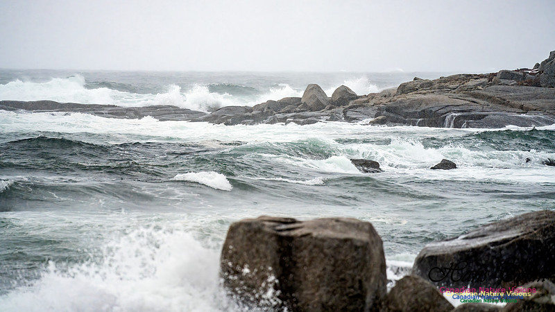 Angry Sea 374