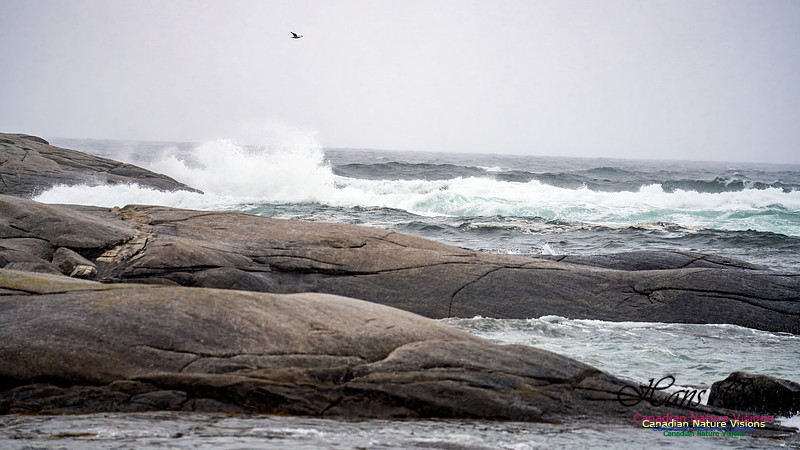 Angry Sea 376
