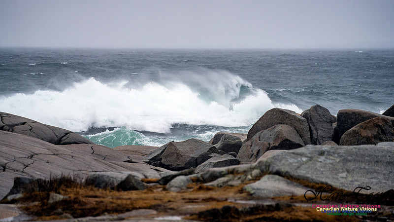 Angry Sea 377