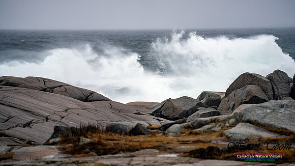 Angry Sea 380