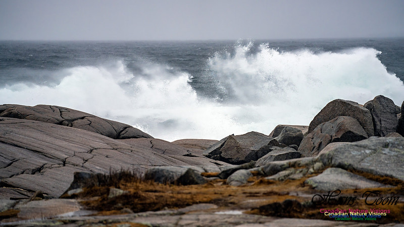 Angry Sea 380