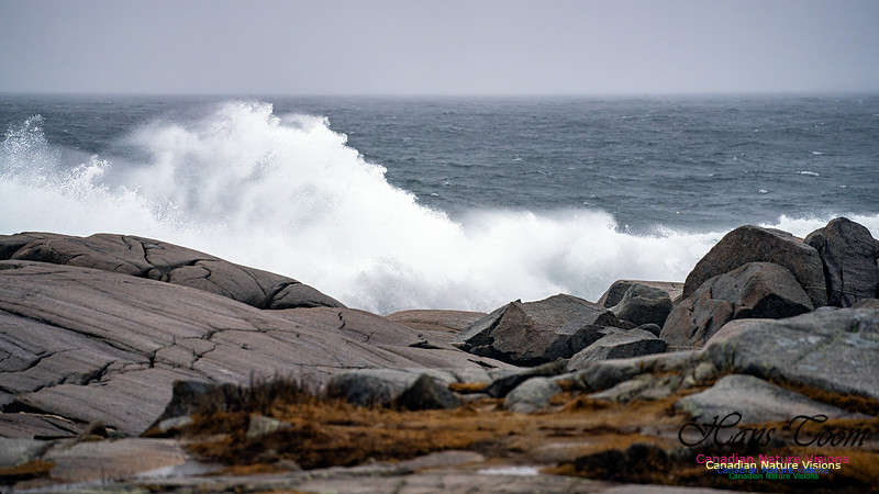 Angry Sea 381