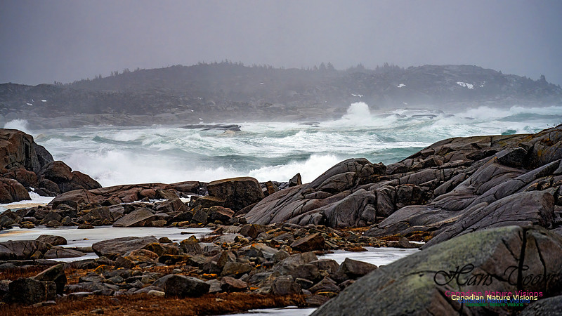 Angry Sea 384