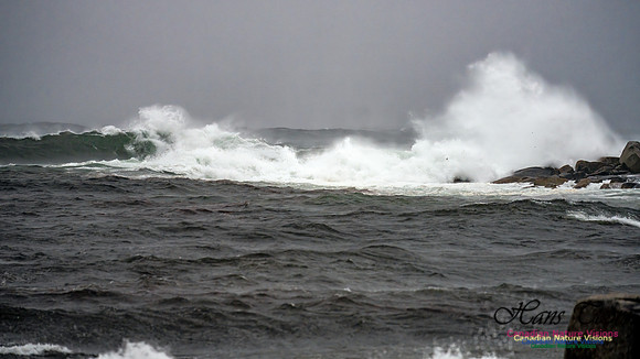 Nova Scotia Gale 2024-09-07 184