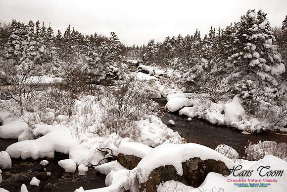 Pennant River