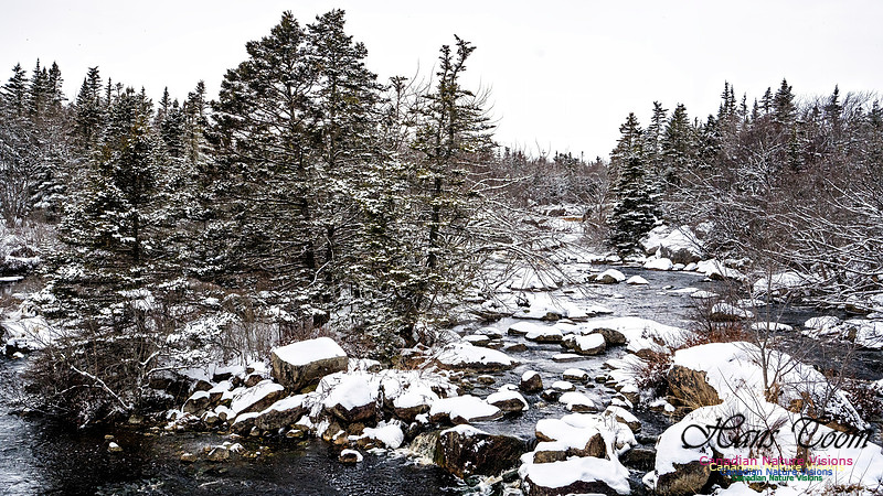 Some Winter Scenes 151