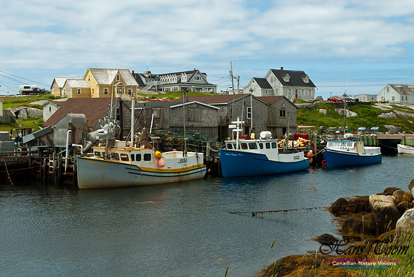 Peggys Cove