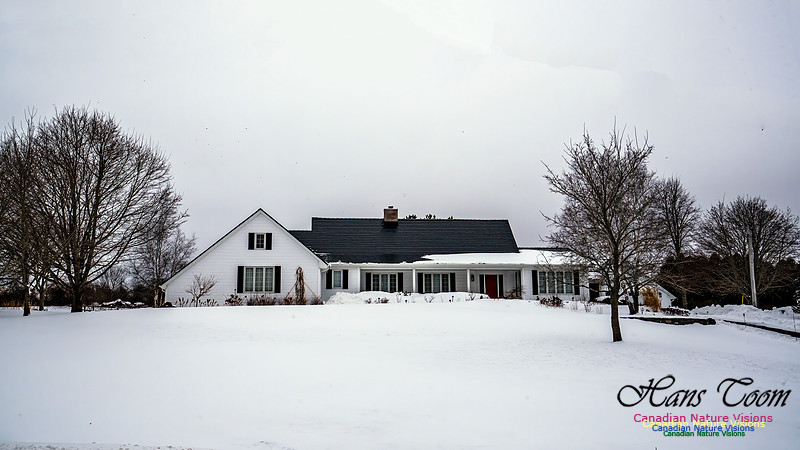 Some Winter Scenes 118