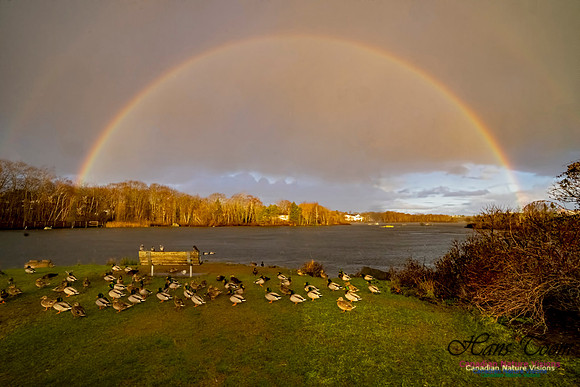Rainbow at Albro Lake 100