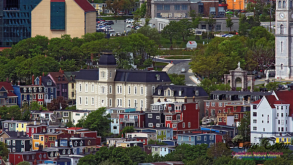 St. John's 105