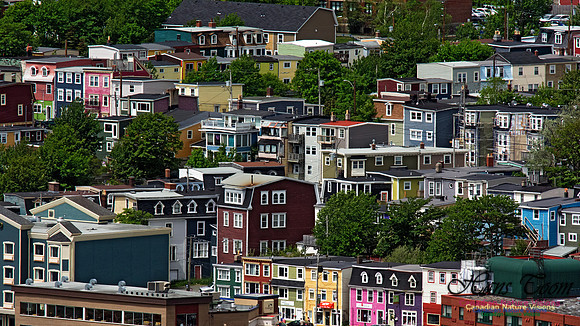 St. John's 110