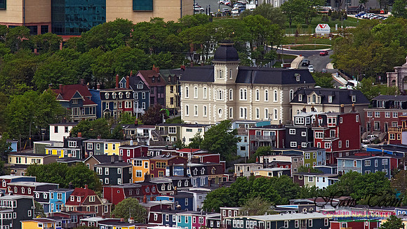 St. John's 113